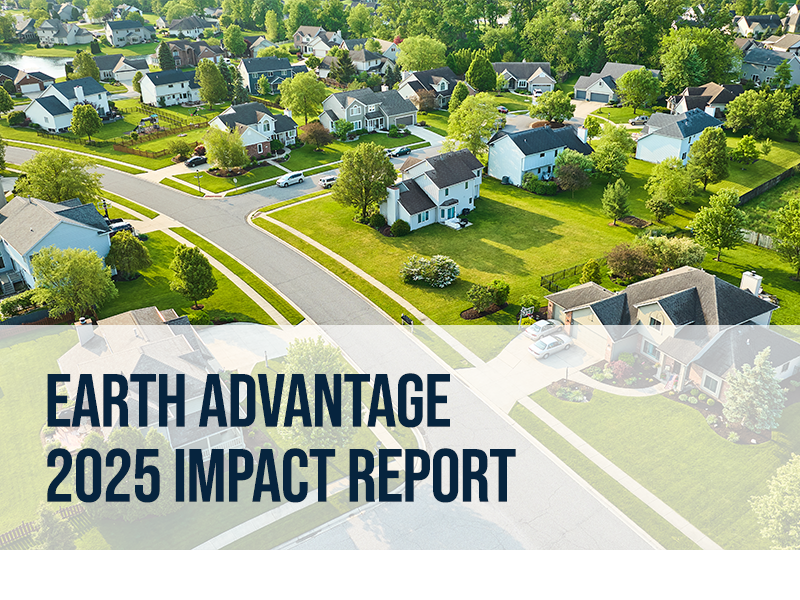 Read about our Recent Work